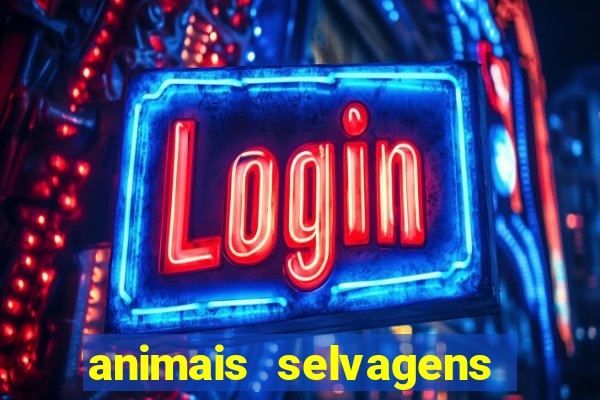 animais selvagens fotos e nomes